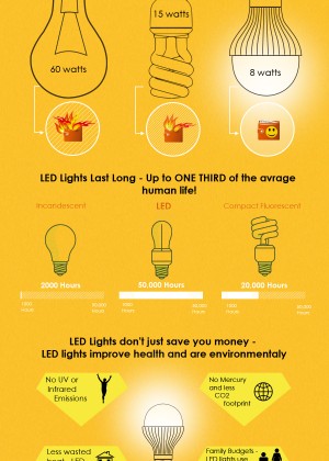 Starter King Infographic 1