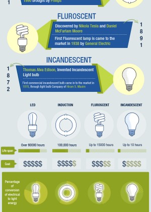 Starter King Infographic 2