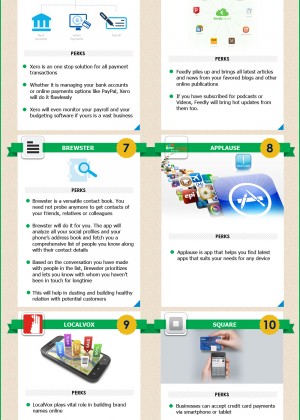 Premium King Infographic 4