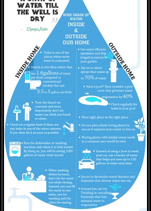 Starter King Infographic 4